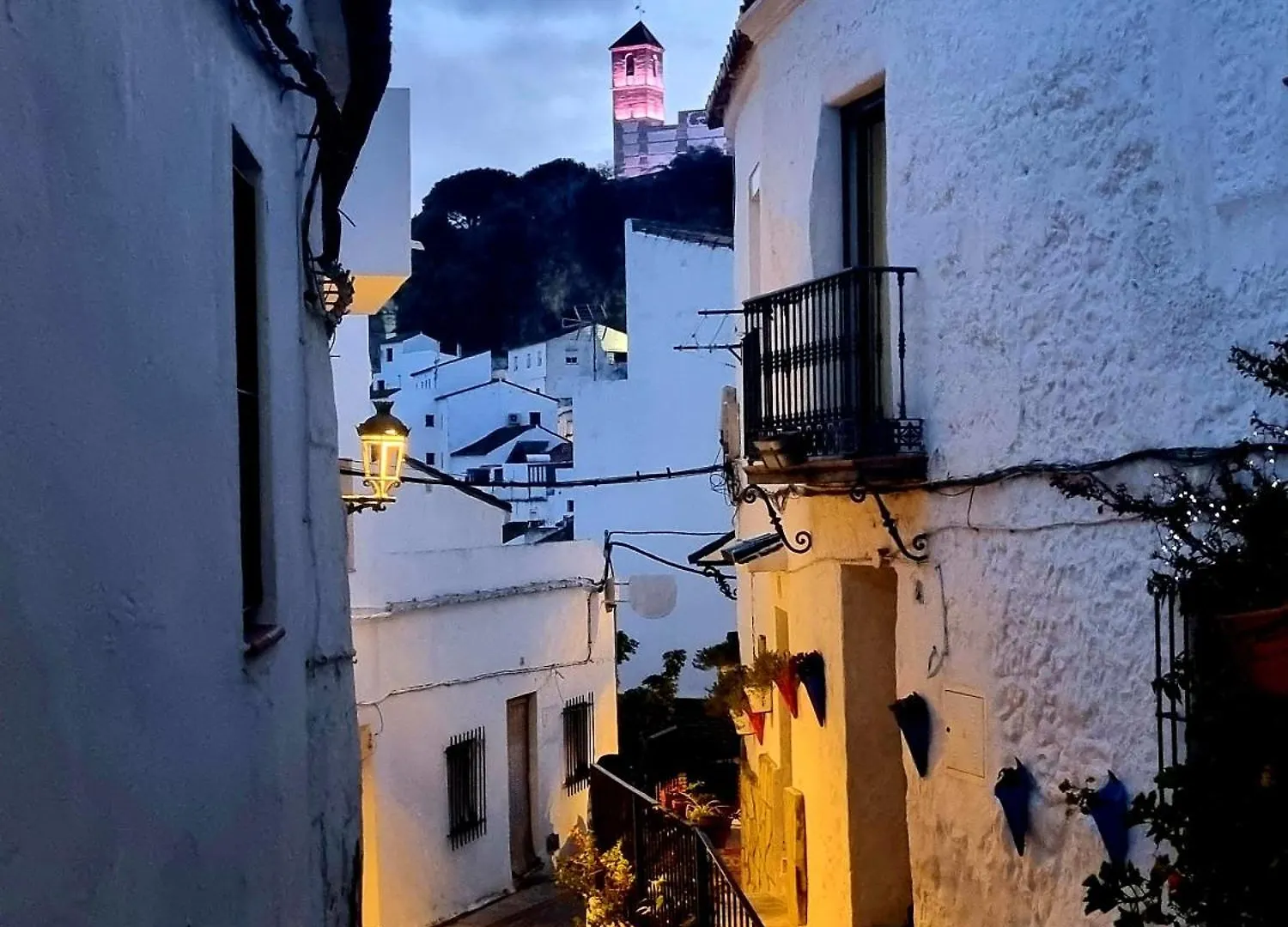 Casares Castle View Villa Holiday home